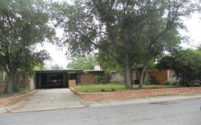 Taniguchi Houses Around Laurel Park