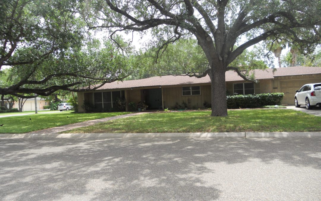 Modern Houses on Ferguson Drive